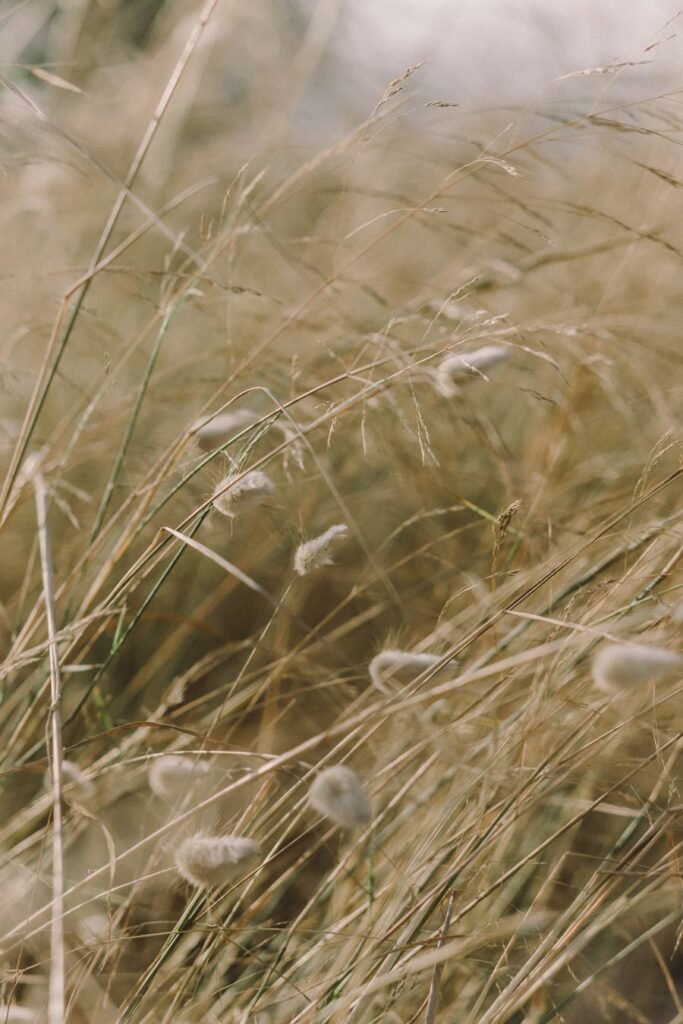 Are You Growing With Your Photography Business?